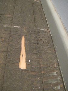 damaged timber