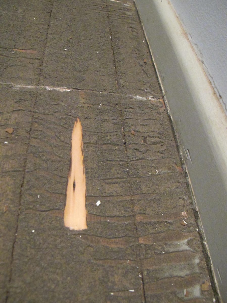 damaged timber