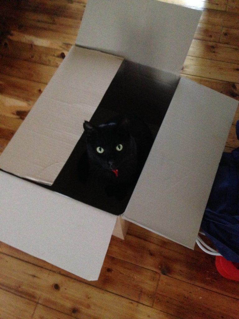 My favourite box made it and so did I.