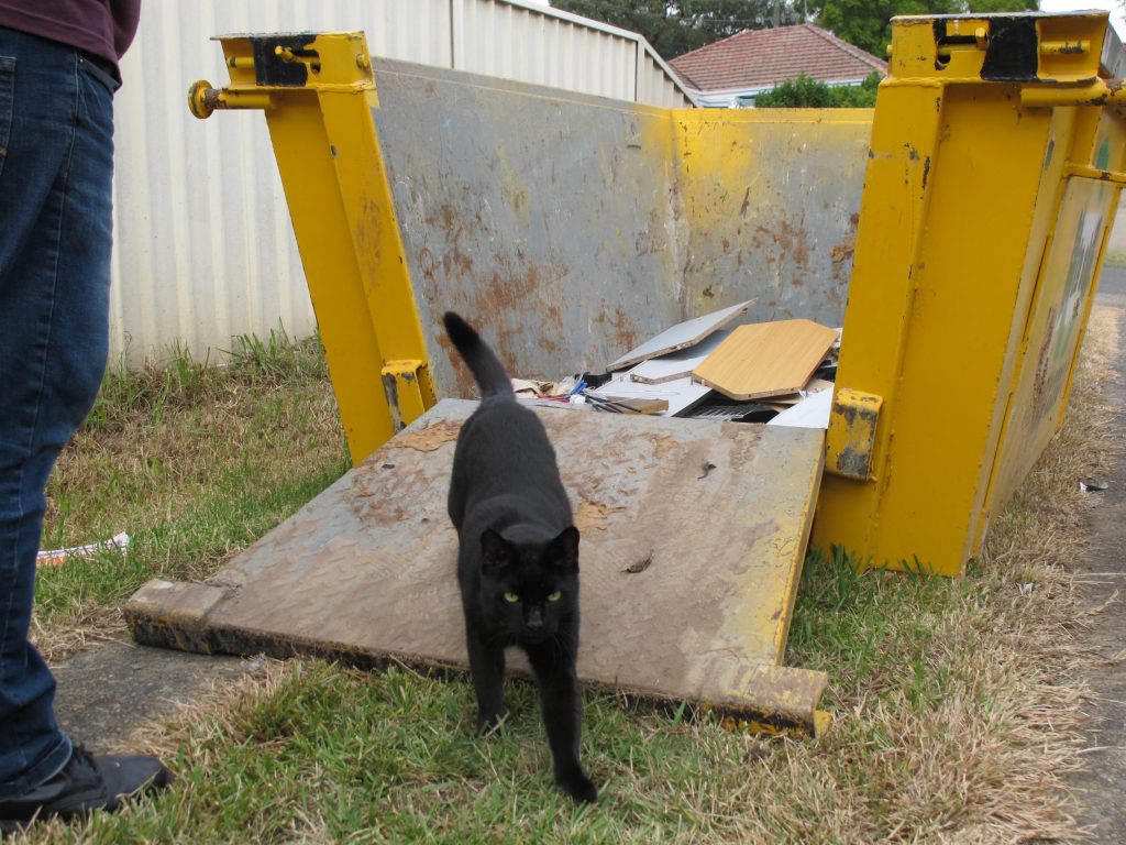 Just had to check my good box wasn't getting skipped.