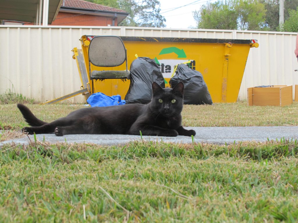 This is me supervising the de-junking on moving day.